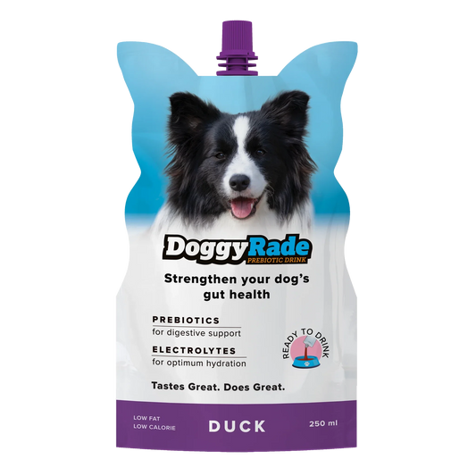Duck Prebiotic Drink for Dogs - 500ml