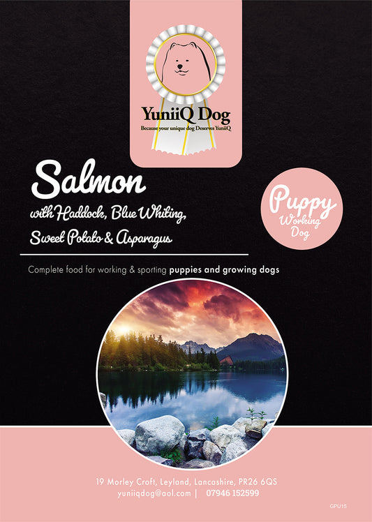 Grain Free Salmon with Haddock, Blue Whiting, Sweet Potato & Asparagus Puppy Food - 15kg - working dog